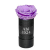 "Abitur 2024" infinity Rose