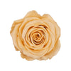 "Bester Opa" infinity Rose