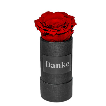 "Danke" infinity Rose