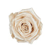 "Beste Mama" infinity Rose