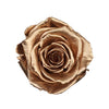 "Beste Mama" infinity Rose