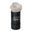 "Bester Opa" infinity Rose