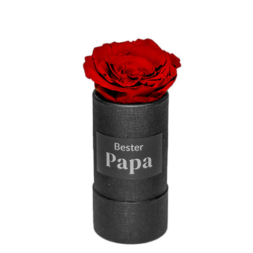 "Bester Papa" infinity Rose