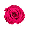 "Gute Besserung" infinity Rose