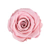 "Beste Mama" infinity Rose