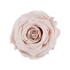 "Beste Mama" infinity Rose