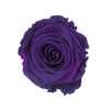 "Beste Mama" infinity Rose