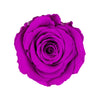 "Abitur 2024" infinity Rose