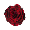 "Beste Mama" infinity Rose