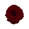 "Beste Mama" infinity Rose